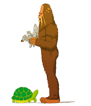 Step 1: Stand in front of the turtle with your feet shoulder-width apart.